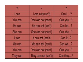 Can/Can’t (6 класс), слайд 6