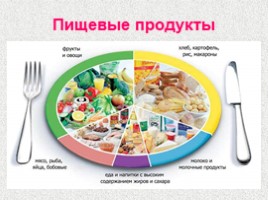 Пищевые продукты и питательные вещества, слайд 2