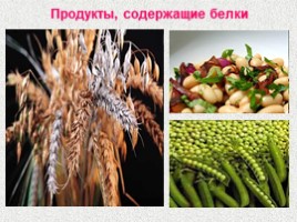 Пищевые продукты и питательные вещества, слайд 21
