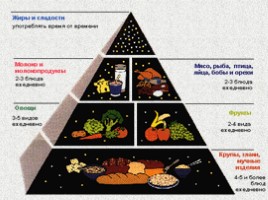 Пищевые продукты и питательные вещества, слайд 3
