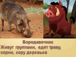 Животные жарких стран и их персонажи из мультфильмов (2 класс), слайд 5