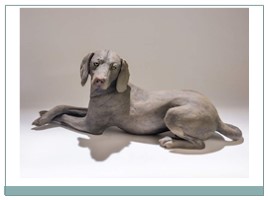 Скульптура животных (3 класс), слайд 9