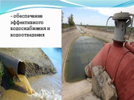 Экологические проблемы Крыма и г. Севастополя, пути их решения (10 класс), слайд 10