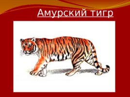 Красная книга Российской Федерации, слайд 10