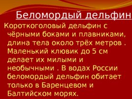 Красная книга Российской Федерации, слайд 12