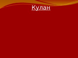 Красная книга Российской Федерации, слайд 21
