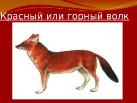 Красная книга Российской Федерации, слайд 4