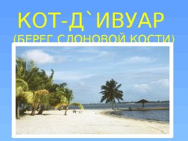 КОТ-ДИВУАР (БЕРЕГ СЛОНОВОЙ КОСТИ)