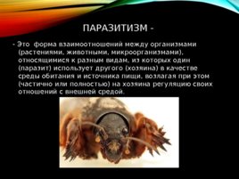 Паразитизм (животные, растения, простейшие и т.д.), слайд 2