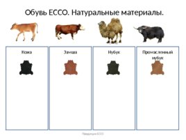 Продукция ECCO: товарные группы, материалы, технологии, слайд 21