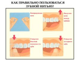 Как и чем чистить зубы. Предметы и средства гигиены полости рта. Методы чистки зубов., слайд 7