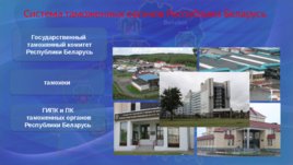 Таможенные органы Республики Беларусь, слайд 4