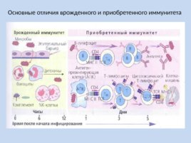 Учение об иммунитете микробиология презентация