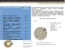 Программно-целевое управление развитием города Караганды, слайд 11