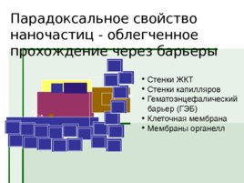 Когда и чем нанолекарства лучше традиционных?, слайд 35