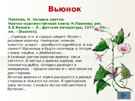 Загадки цветов, слайд 19