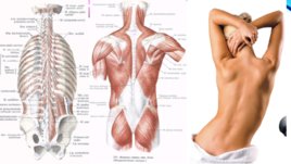 Помогите позвоночнику, и он поможет вам обрести молодость, слайд 6