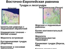 Физическая география россии и сопредельных территорий, слайд 10