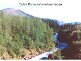 Физическая география россии и сопредельных территорий, слайд 15