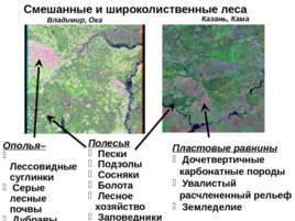 Физическая география россии и сопредельных территорий, слайд 31