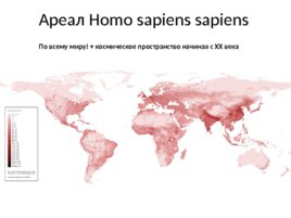 Место человека в системе органического мира, слайд 12