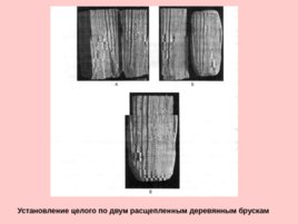 Трасология основные понятия классификация следов, слайд 170