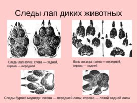 Трасология основные понятия классификация следов, слайд 180