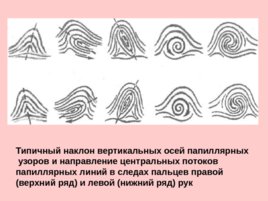 Трасология основные понятия классификация следов, слайд 44