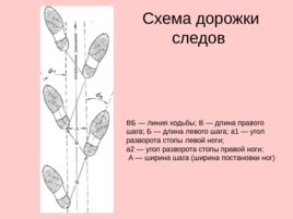 Рисунок дорожки следов обуви