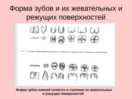 Трасология основные понятия классификация следов, слайд 81