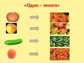 Овощи фрукты, слайд 11