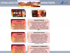 Безопасность жизнедеятельности, слайд 97