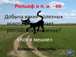 Своя игра «Архангельская область», слайд 11