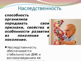 Биология – наука о живой природе, слайд 12