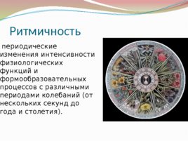 Биология – наука о живой природе, слайд 16