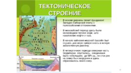 Западно-Сибирская равнина, слайд 10