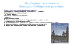 Западно-Сибирская равнина, слайд 22
