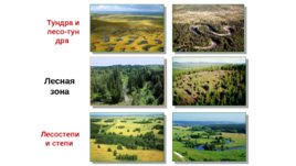 Западно-Сибирская равнина, слайд 41