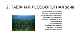 Западно-Сибирская равнина, слайд 43