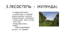 Западно-Сибирская равнина, слайд 44