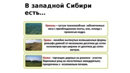 Западно-Сибирская равнина, слайд 46