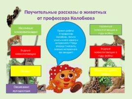 Поучительные рассказы о животных от профессора Колобкова, слайд 1