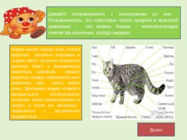 Поучительные рассказы о животных от профессора Колобкова, слайд 3