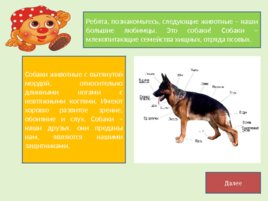Поучительные рассказы о животных от профессора Колобкова, слайд 4