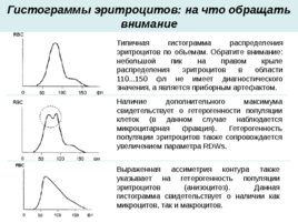 Основные лабораторные показатели оценки эритропоэза, получаемые на гематологических анализаторах, слайд 20
