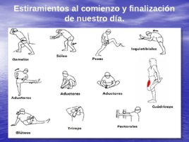 Técnicas y Manualidades del Masaje Sueco aplicadas al Deporte, слайд 18