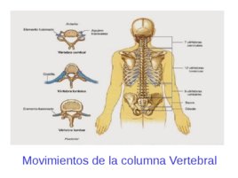 Taller de tratamiento de tejidos blandos aplicado en la Halterofilia, слайд 111