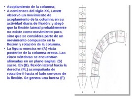 Taller de tratamiento de tejidos blandos aplicado en la Halterofilia, слайд 130