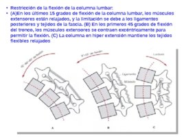 Taller de tratamiento de tejidos blandos aplicado en la Halterofilia, слайд 137