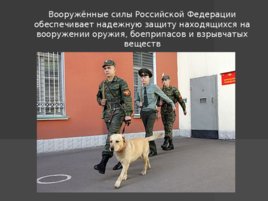 Применение вооруженных сил РФ в борьбе с терроризмом, слайд 8